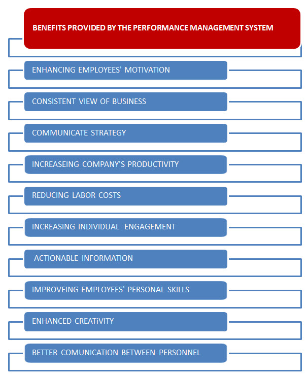 What Does The Effective Performance Management System Provide?